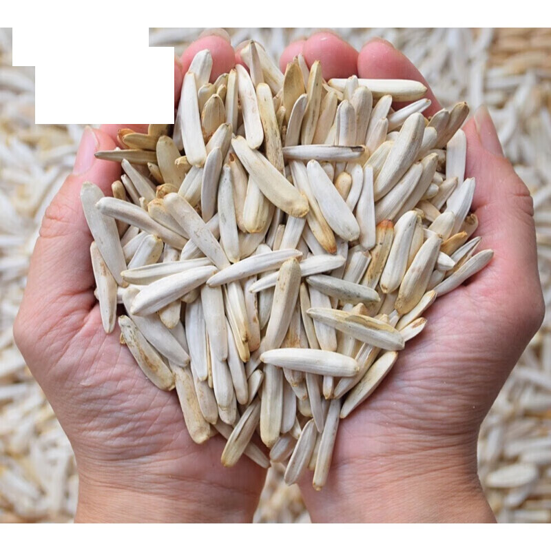 虎钢馋新疆特产阿克苏马牙白瓜子人工现炒牙签瓜子葵花籽原味零食1000