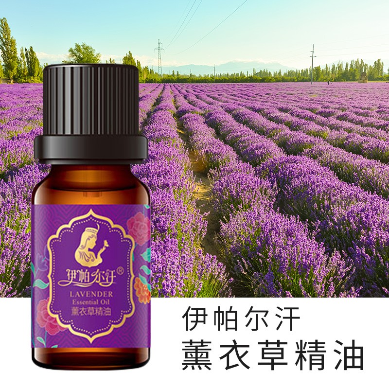 伊帕尔汗已审核快速发货熏衣草精油护肤品套单方复方精油 薰衣草精油单方30ml