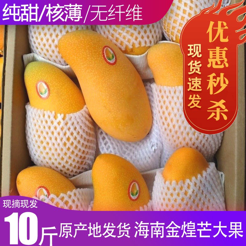 10斤金煌芒海南水仙芒新鲜芒果孕妇儿童水果 带箱10斤 中小果（单果150g-200g）尝一尝