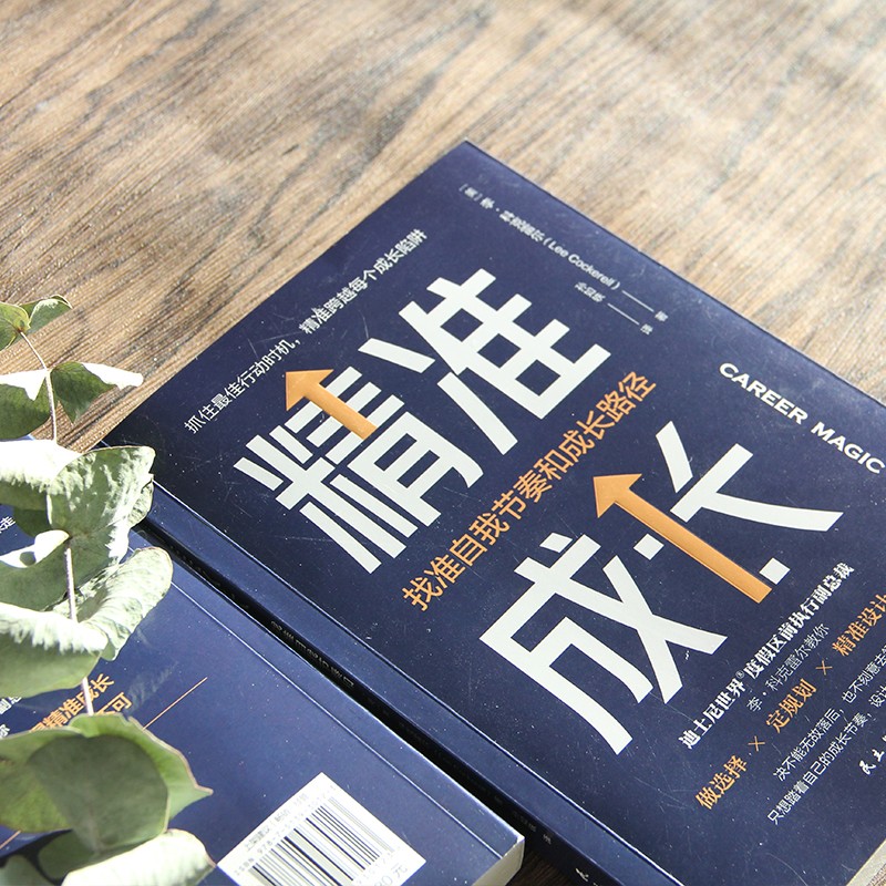 精准成长：找准自我节奏和成长路径（成长每个关键时刻，你要敢于主动决策）详情图