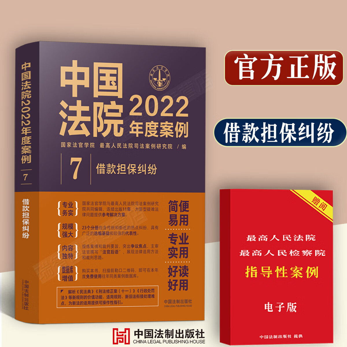 借款担保纠纷中国法院2022年度案例/含借款合同抵押质押等担保纠纷案例2022年典型案例和裁判实例分析新版现