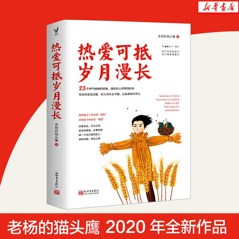 热爱可抵岁月漫长 老杨的猫头鹰2020新作