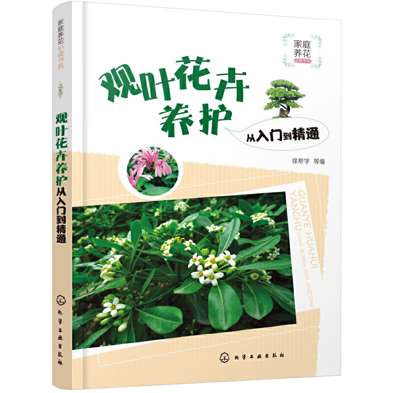 观叶花卉养护从入门到精通