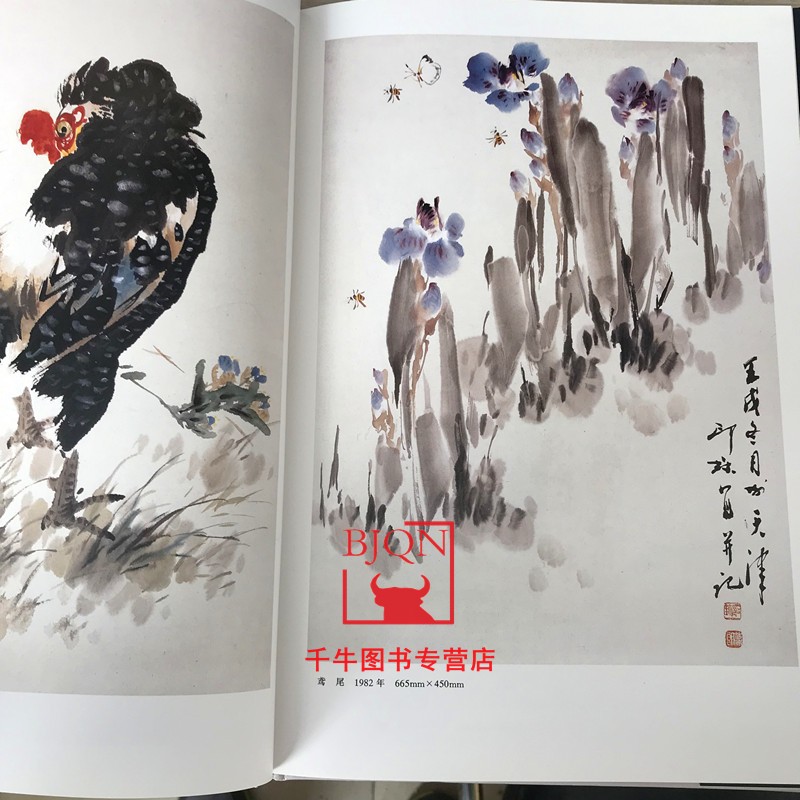 萧朗画集 萧朗画册国画绘画作品图录写意画花鸟鱼虫 天津人民美术出版