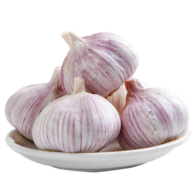 ������ ���� 2�����5.0-6.0cm