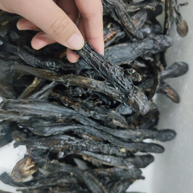 羌活鱼中药材杉木鱼接jie骨丹白龙中草药骨折 250g