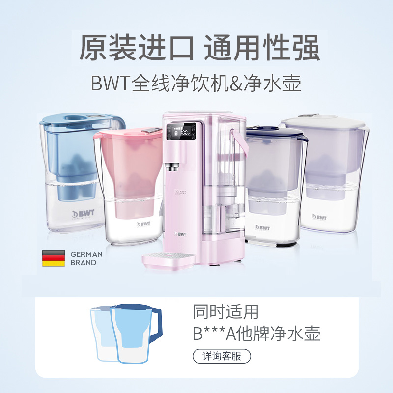 倍世（BWT）净水壶滤水壶净水器家用 欧洲去水垢滤芯 益家4.2L大容量厨房客厅通用 【去水垢-加强版】1壶1芯