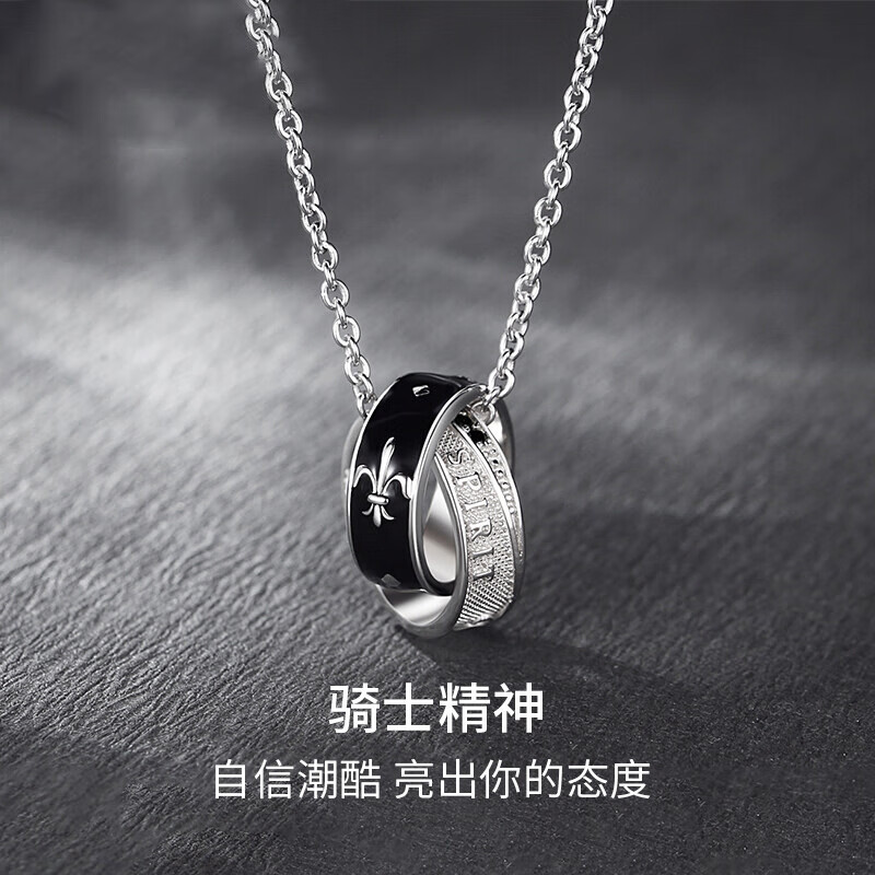 项链潮酷嘻哈双环男女款项链高级感送男友生日纪念日礼物 骑士项链