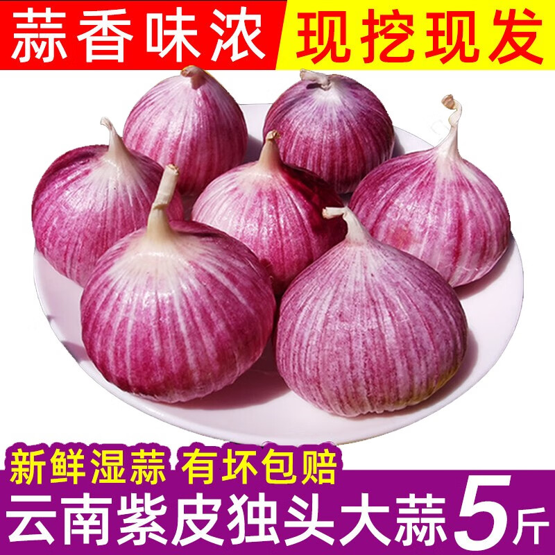 云南独头蒜新鲜紫皮大蒜湿蒜 蔬菜农家自种干蒜头 3斤