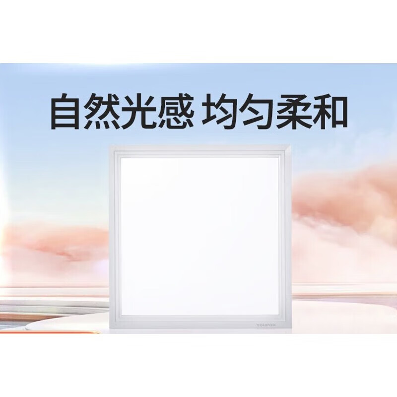 友邦（YOUPON）集成吊頂面板吸頂燈廚房廚衛衛生間扣板嵌入式158菜鳥(niǎo) 300mm