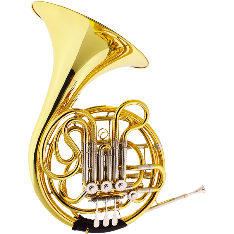 �� Բ��JBFH-601�ļ�˫�ű��Բ��F/Bbרҵ���� 4830Ԫ