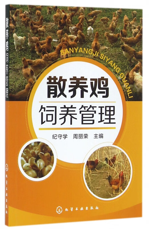 散养鸡饲养管理