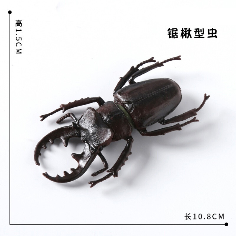 80/20クロス 【昆虫標本】完品オーベルチュールオオツノカナブン