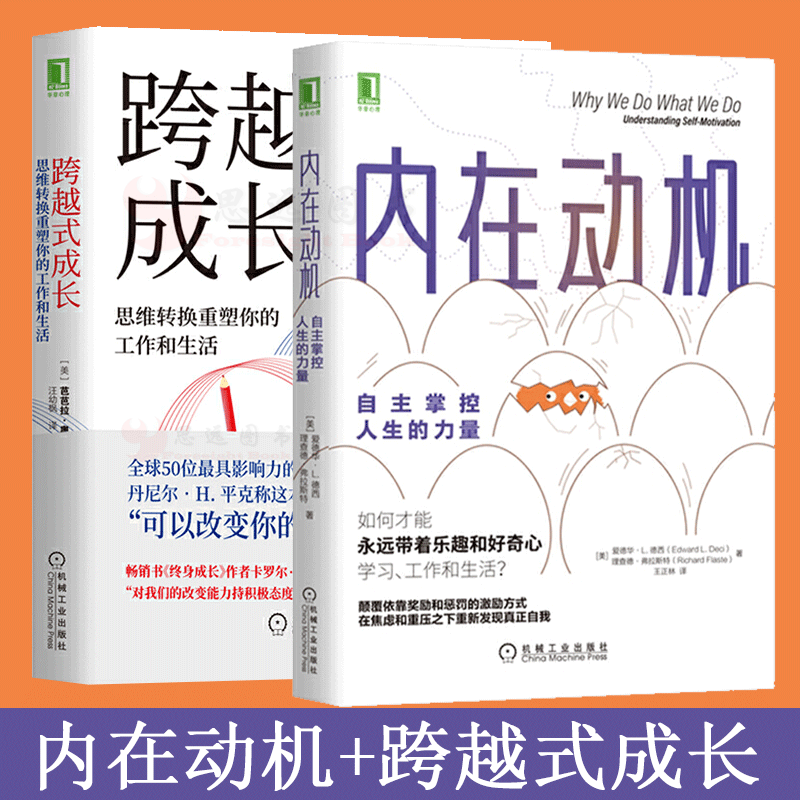 跨越式成长:思维转换重塑你的工作和生活 内在动机:自主掌控人生的