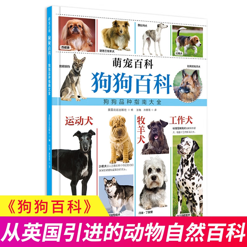 萌宠百科系列——狗狗百科