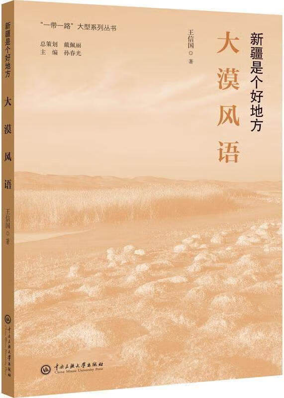 大漠风语 第1版 王信国著 中央民族大学出版社