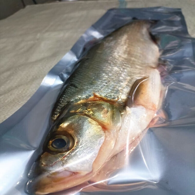 lism黑龙江东北冷水大白鱼淡水湖鱼岛子鱼整条鲜活冷冻发货生鲜鱼 1.