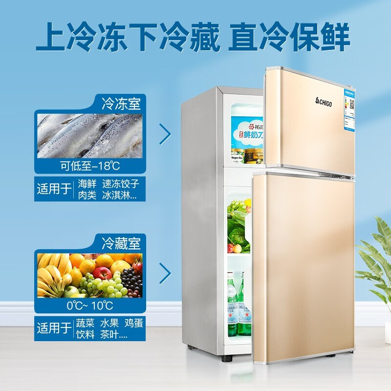 志高双门冰箱小型电冰箱有没有图片，这款到底有多小啊？