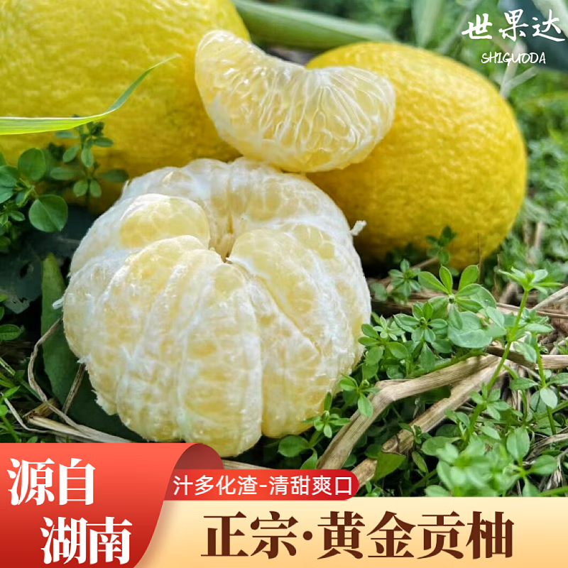 ������ƽ������ں��ϻ����ز� �齭���������ɽ����� ��������ˮ�� 9������װ��75mm+�� 61Ԫ