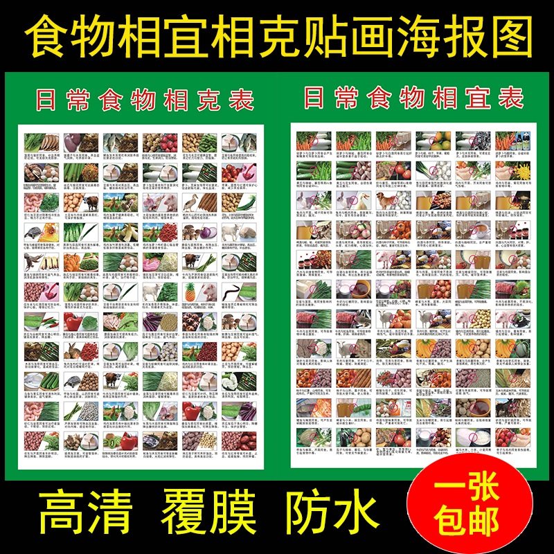 食物相生克挂画 食物相克表食物相冲图食物相克图食物
