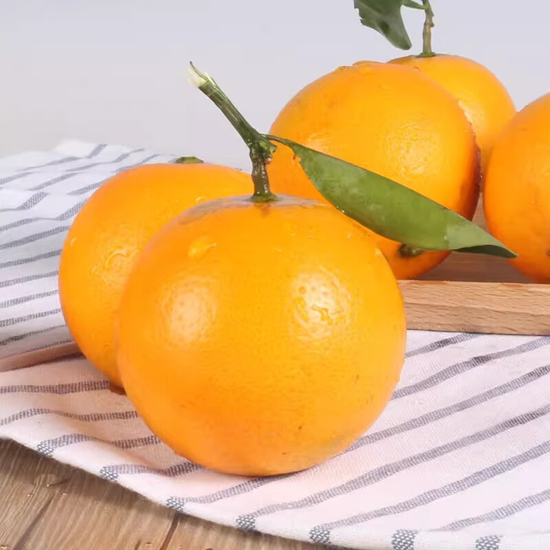 正宗湖南永兴冰糖橙 现摘新鲜橙子当季水果手剥甜橙应季脐橙大果 10斤带箱中果(60mm-65mm) | 礼盒装