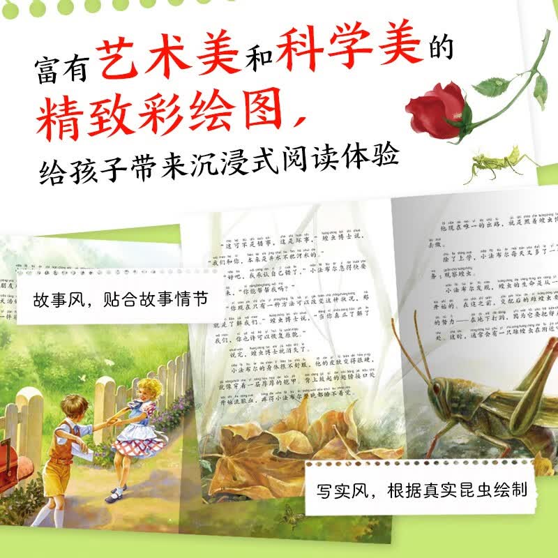 昆虫记·注音科学探索版：全10册详情图