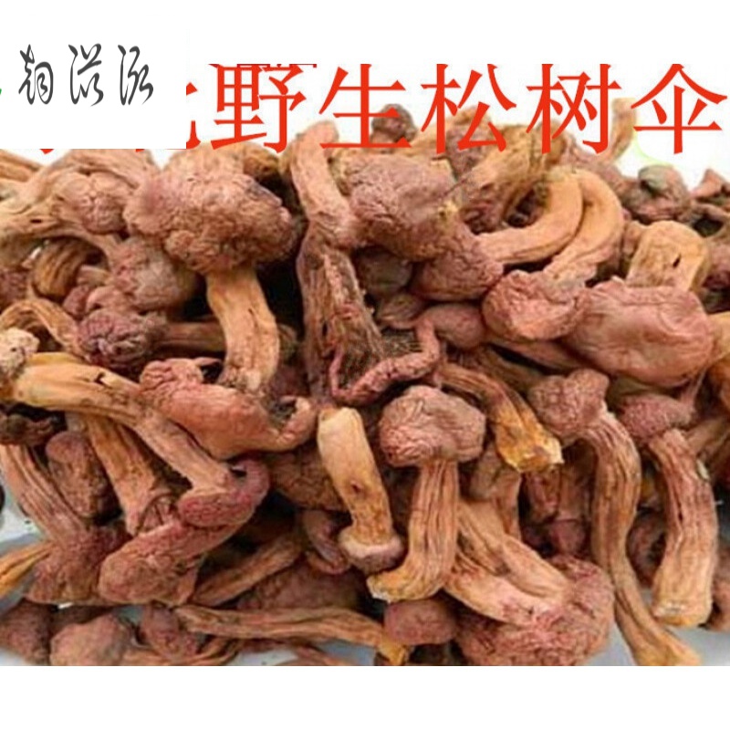 东北特产红蘑 红蘑菇干货 松树伞松蘑菇肉蘑钉菌250g 小鸡炖蘑菇****