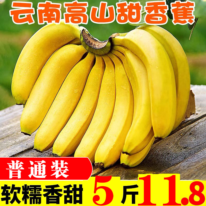 云南香蕉自然熟  当季新鲜水果 整箱批发高原甜香蕉 精选香蕉 净重5斤 普通5斤