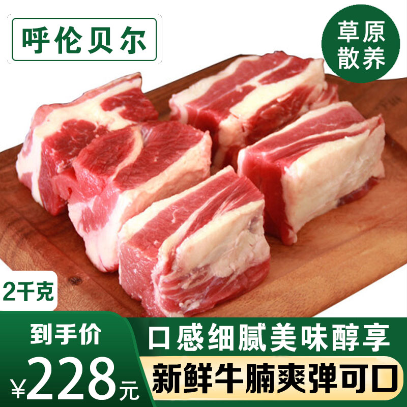 鲜羊官 内蒙古呼伦贝尔黄膘 草饲牛腩 牛腩块2斤 生牛肉 牛腩 2kg