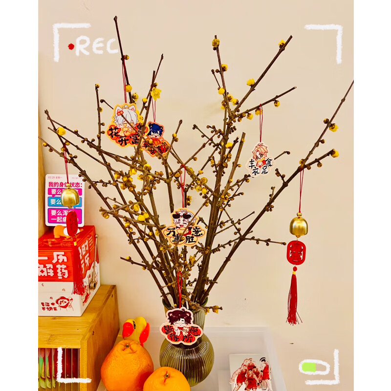 ���ڲ��������Ÿ�֦��÷�ʻ����л���������������÷����ˮ��ˮ����ֲ�������÷ ��ѡ��÷֦80cm8֦