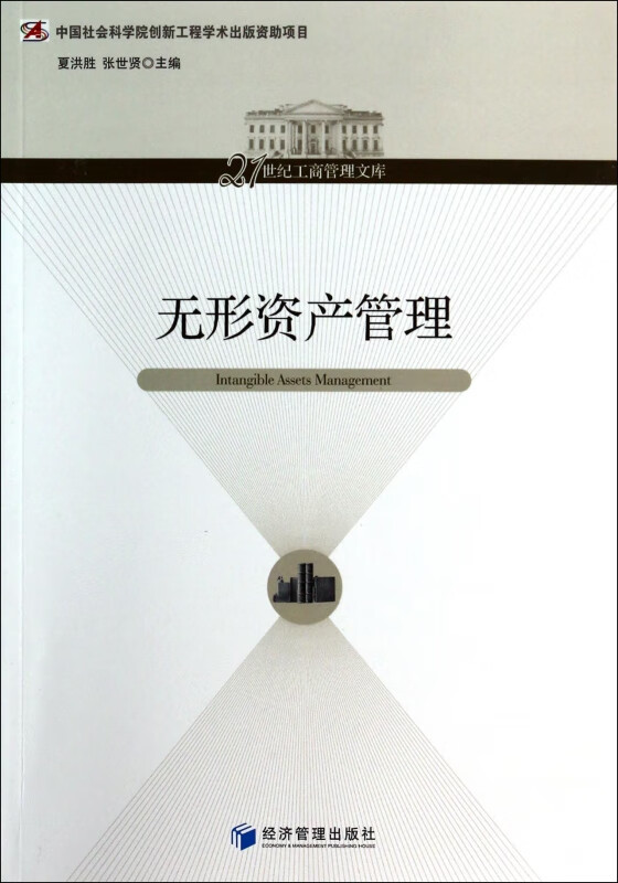无形资产管理/21世纪工商管理文库