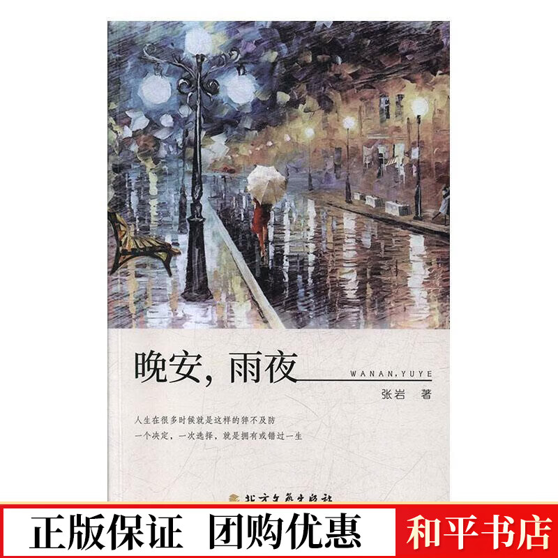 晚安,雨夜张岩北方文艺出版社9787531745969 小说书籍