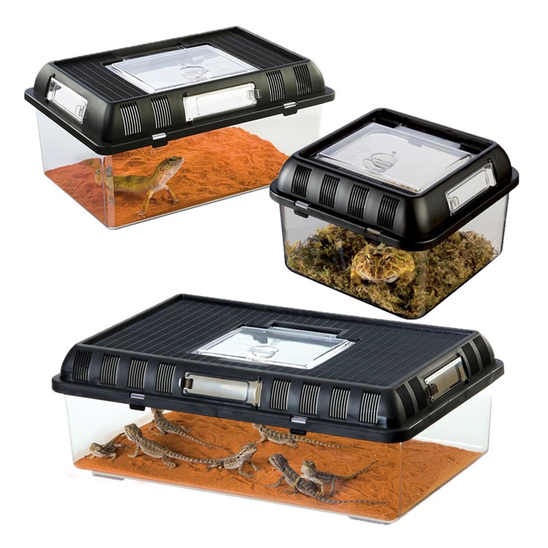 clcey乌龟盒子便携 角蛙甲虫蜗牛蛇蜘蛛守宫蚂蚁塑料宠物盒 爬虫饲养