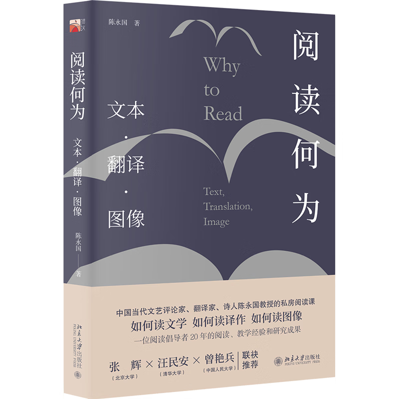 阅读何为:文本 翻译 图像(如何阅读文学