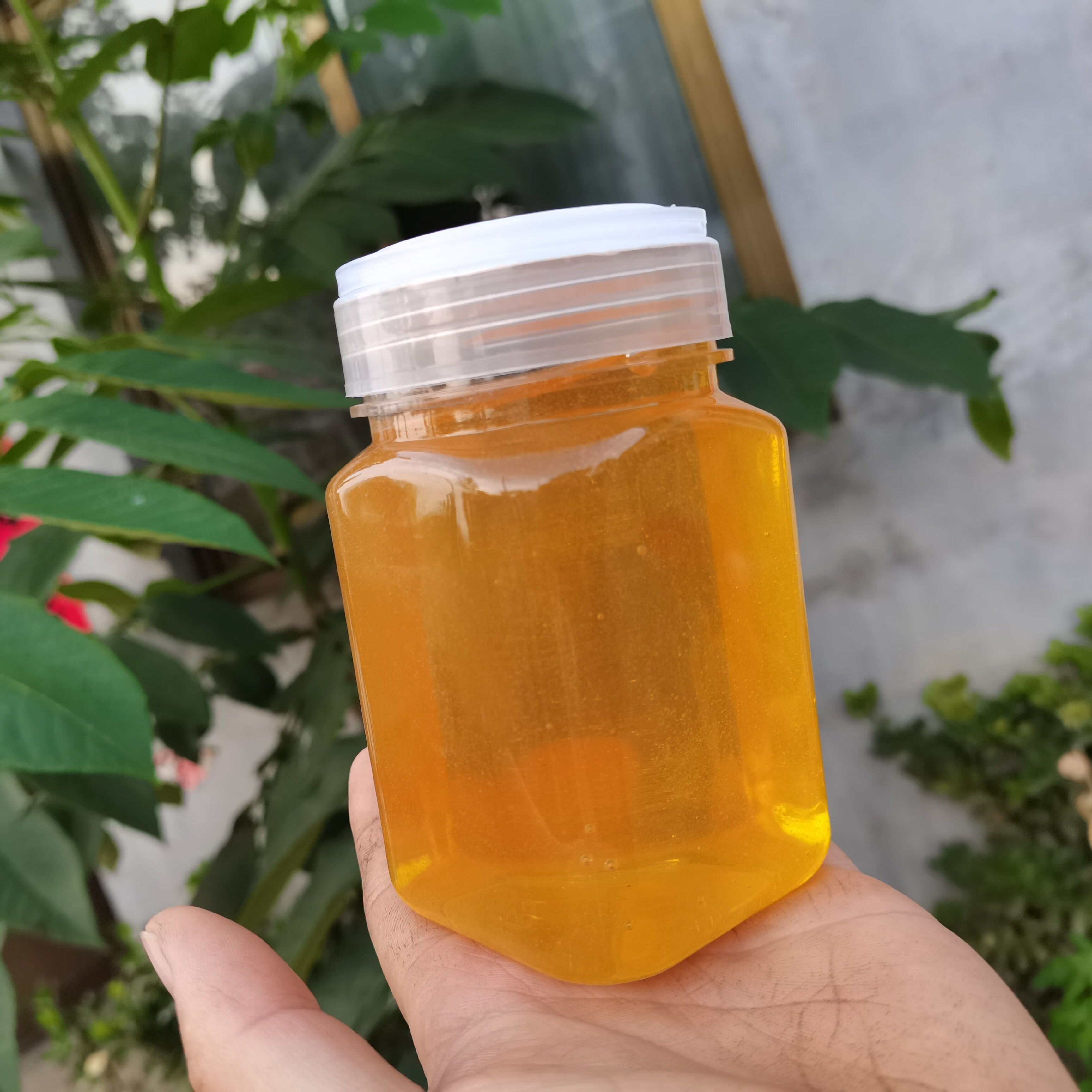 蜂蜜 五味子蜜 五倍子蜂蜜 秦岭深山非野生中药材蜂蜜土蜂蜜 500克1瓶 液态 方瓶