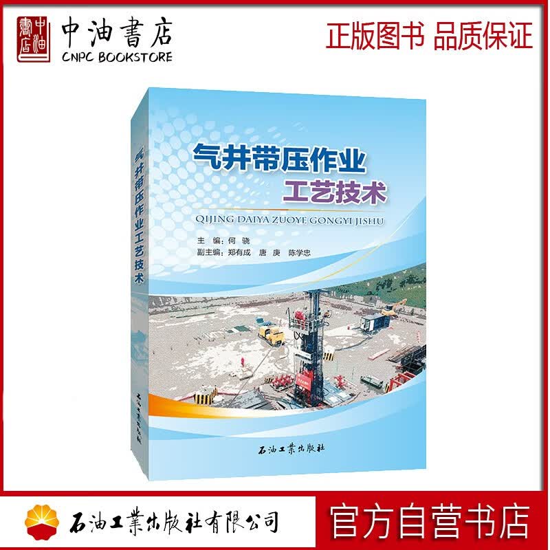 气井带压作业工艺技术 石油工业出版社 9787518346639
