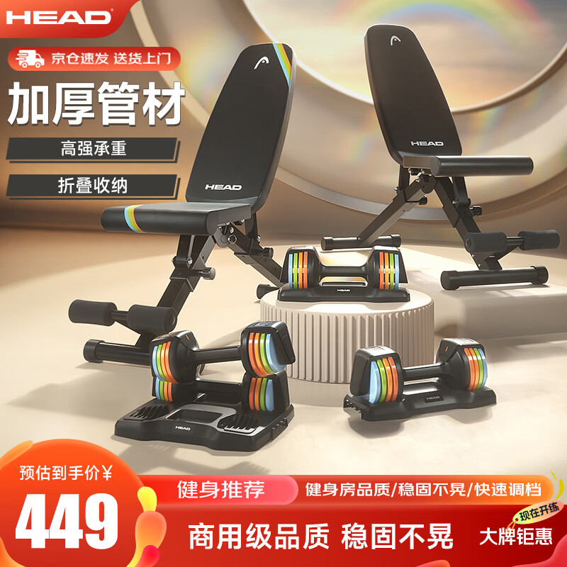 HEAD海德哑铃凳卧推凳仰卧起坐腹肌板健身椅飞鸟凳健身器材家用轻商用