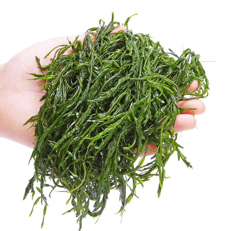 阙磐 海草鞭炮笋 250g*4袋 海草鞭炮笋 盐渍马尾藻海藻长寿菜羊栖菜