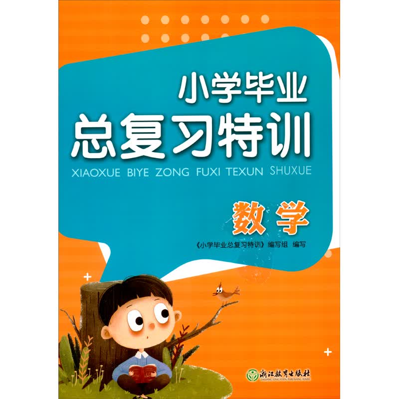 小学毕业总复习特训 数学
