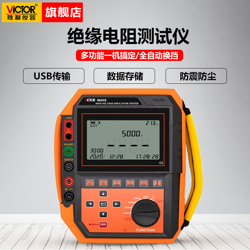 胜利仪器（Victor）高压绝缘电阻测试仪 兆欧表 电阻测试器 VC9600S
