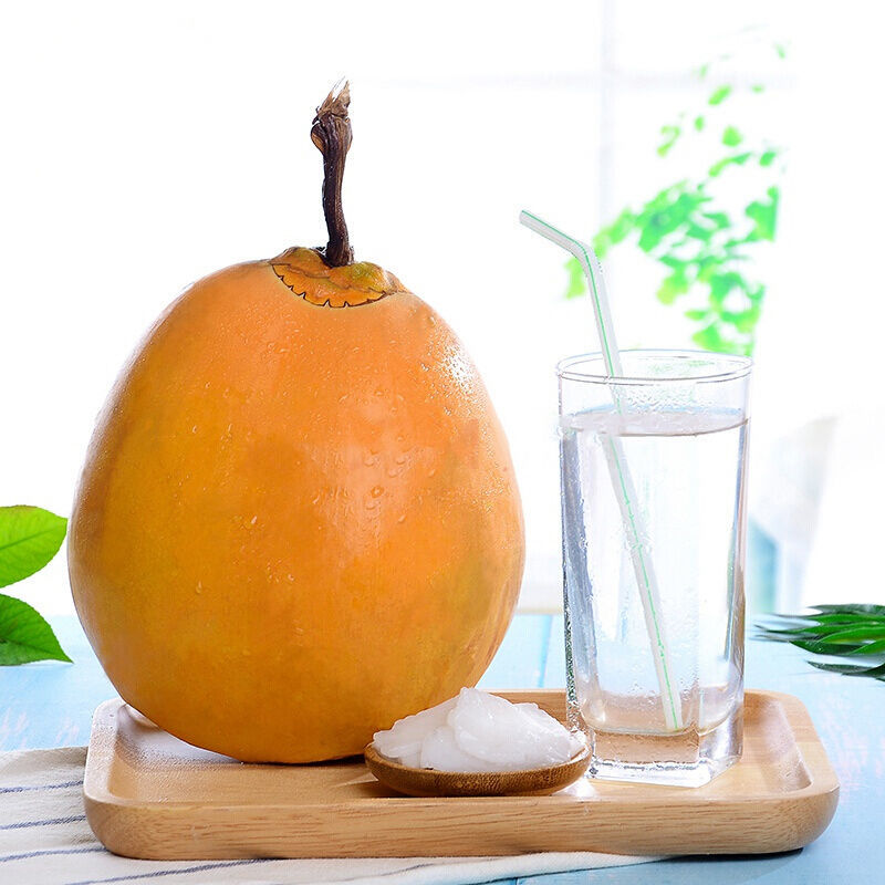 海南新鲜黄金椰子【现摘现发】海南红椰 时令新鲜水果 新鲜椰子 孕妇