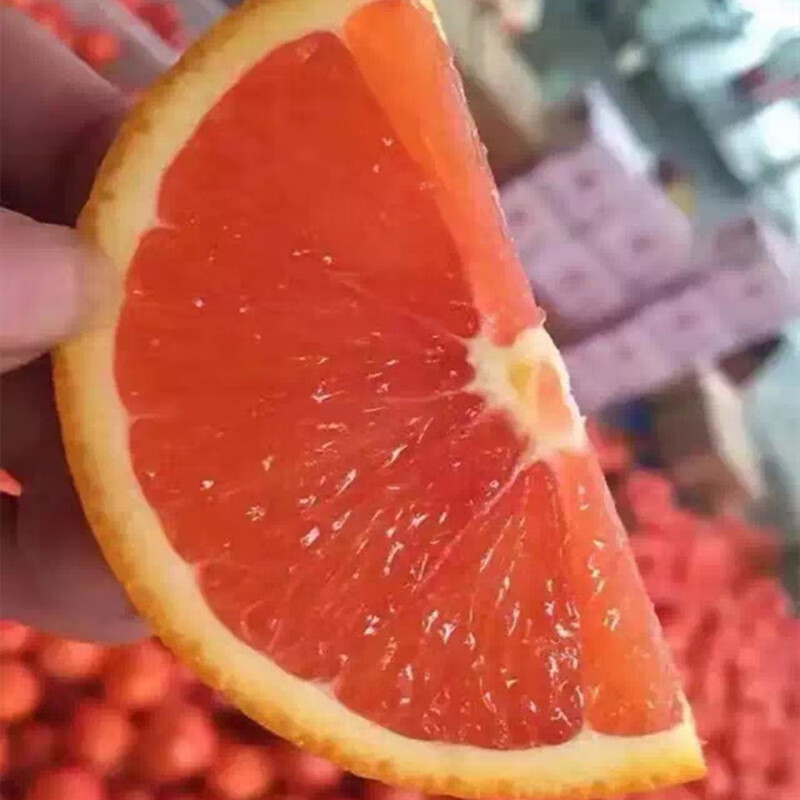 果迎鲜血橙 5斤装 脐橙 新鲜水果 橙子 红血橙 湖北血橙 60-65mm 酸甜 5斤装