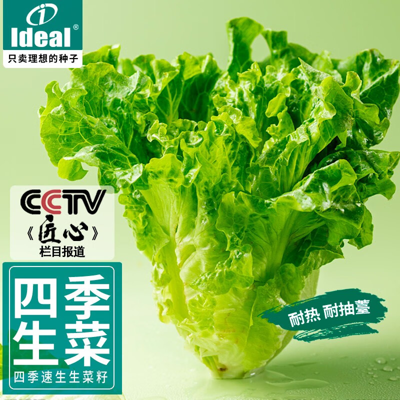 查蔬菜类历史价格的网站|蔬菜类价格走势