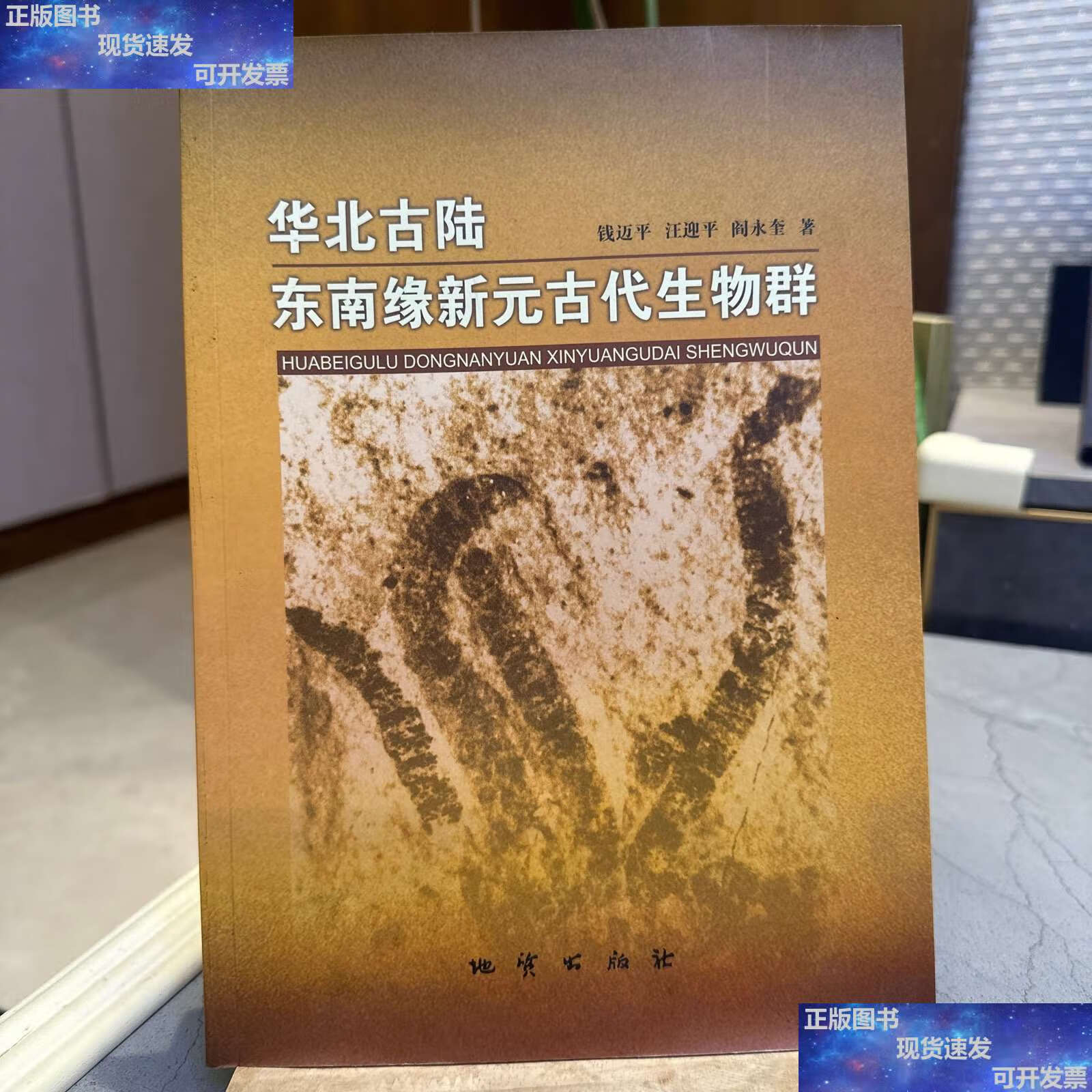 【二手9成新】华北古陆东南缘新元古代生物群 /钱迈平,汪迎平,阎永奎