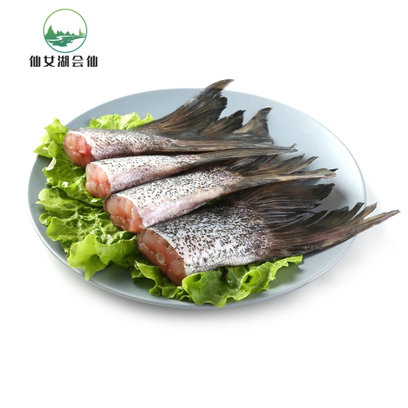 会仙 仙女湖有机胖头鱼鱼尾500g 生态鳙鱼鱼尾 淡水花鲢 国产大头鱼