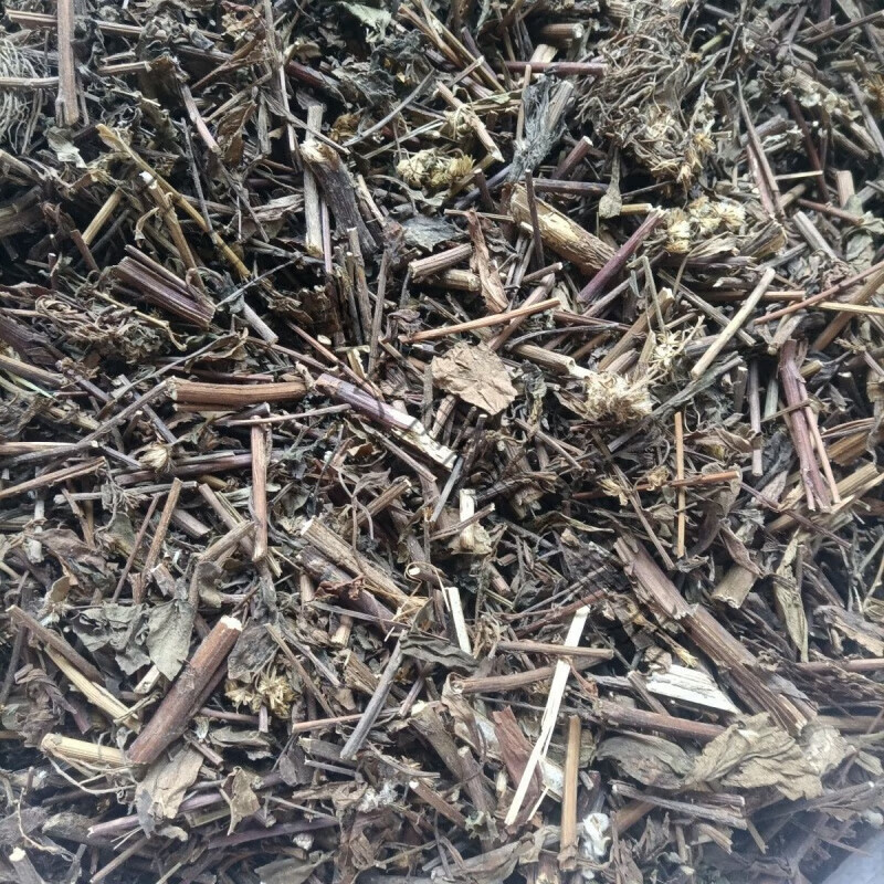 内廷上用青草药白花老虎尿 潮汕本地白花老虎尿青草药中草药材500克