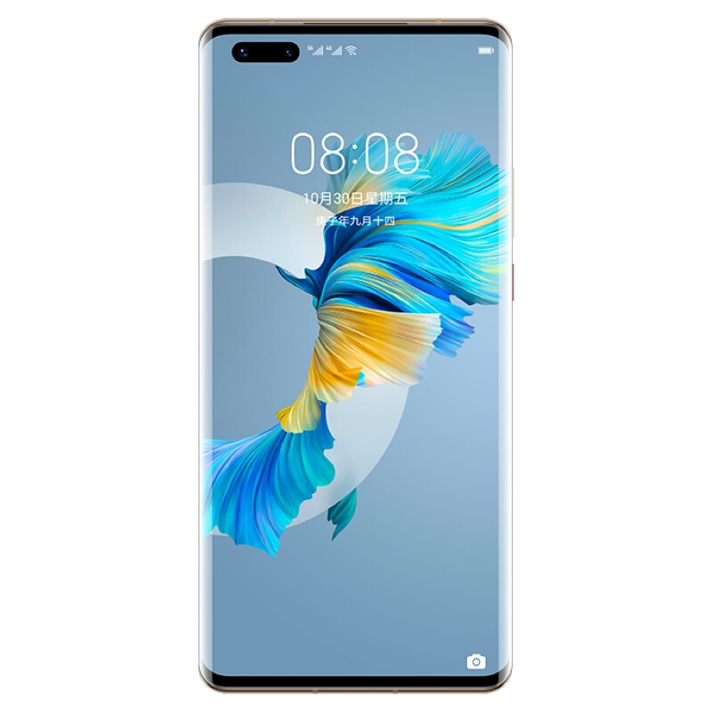 华为mate40pro 5g手机【支持鸿蒙harmonyos】 秋日胡杨 8gb 256gb(4g