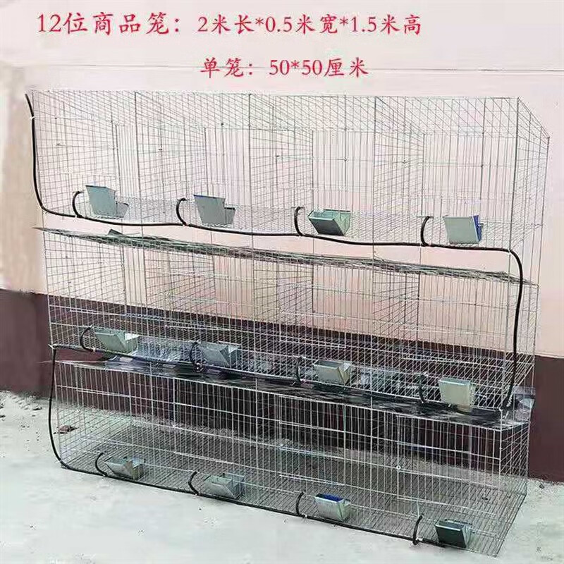 蒂乐森下沉式产箱子母笼兔笼加粗12位24位商品兔子笼特种兔舍养殖笼