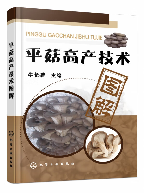 平菇高产技术图解