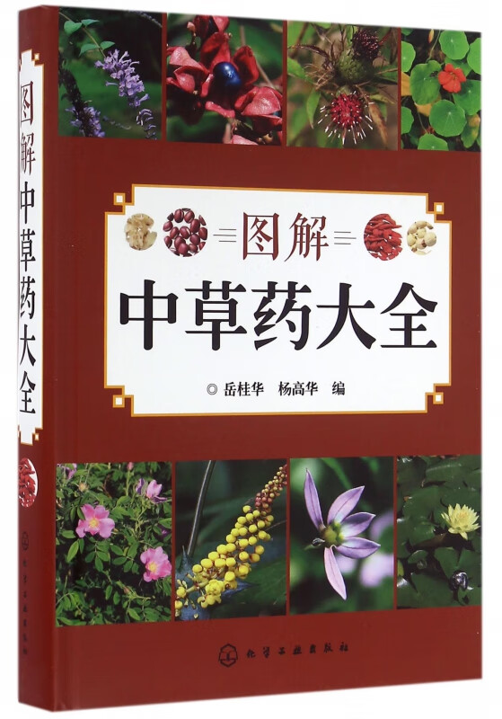图解中草药大全(精)